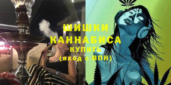 дурь Бронницы