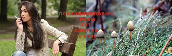 дурь Бронницы
