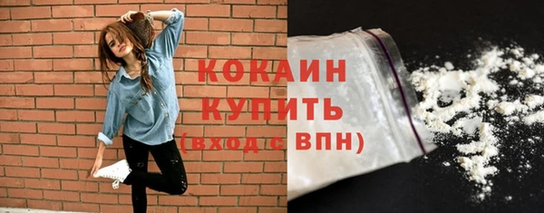 дурь Бронницы