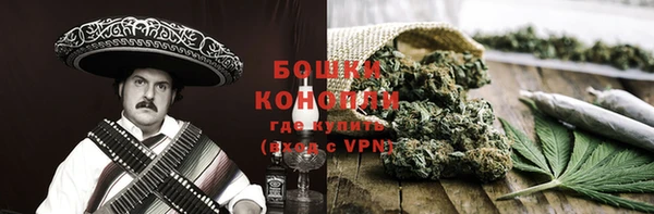 дурь Бронницы