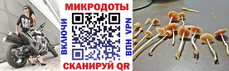 где найти наркотики  Армавир  Псилоцибиновые грибы MAGIC MUSHROOMS 
